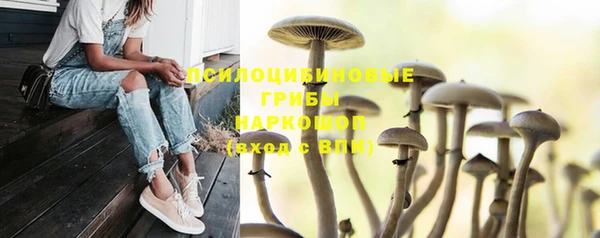 твердый Саяногорск