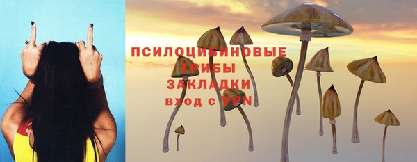 крисы Сатка